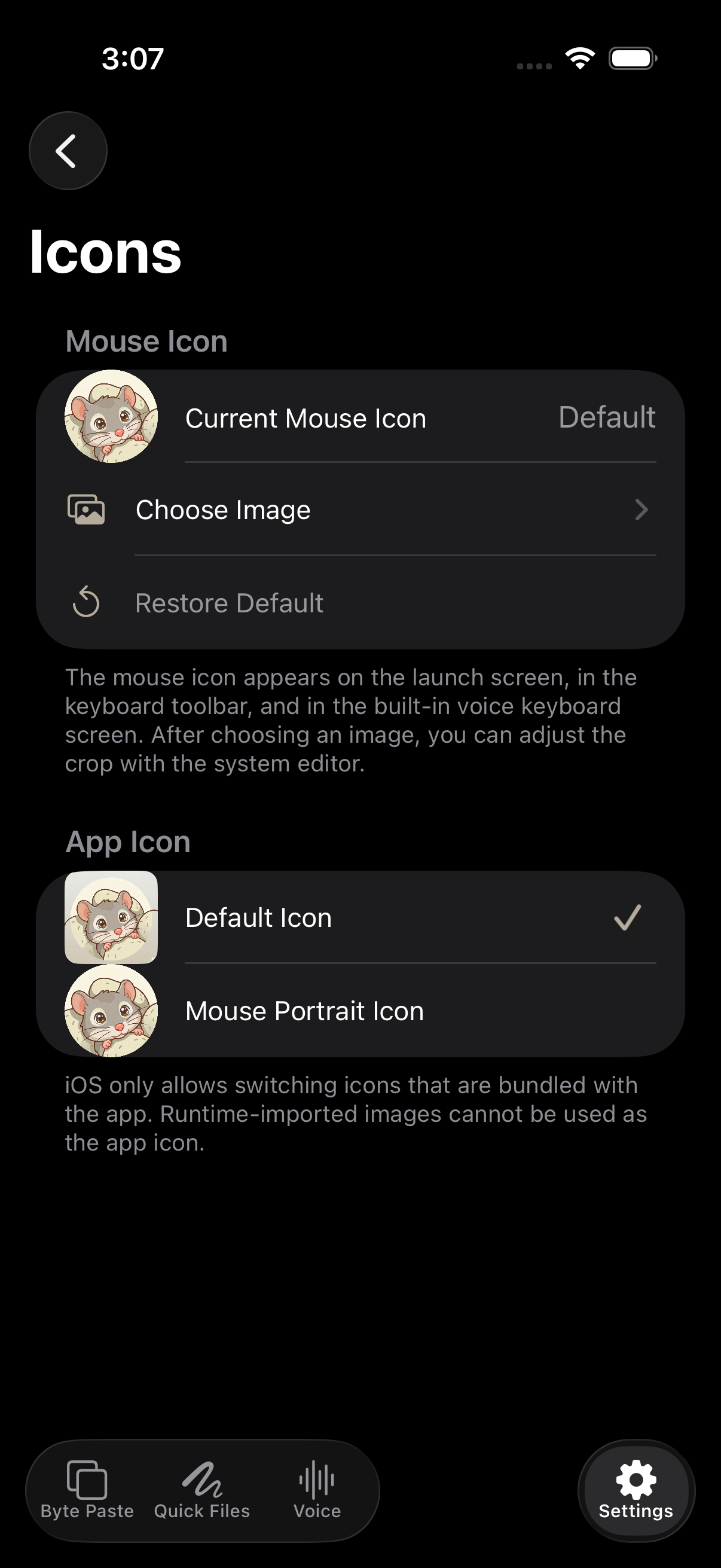 App and toolbar icon settings in English