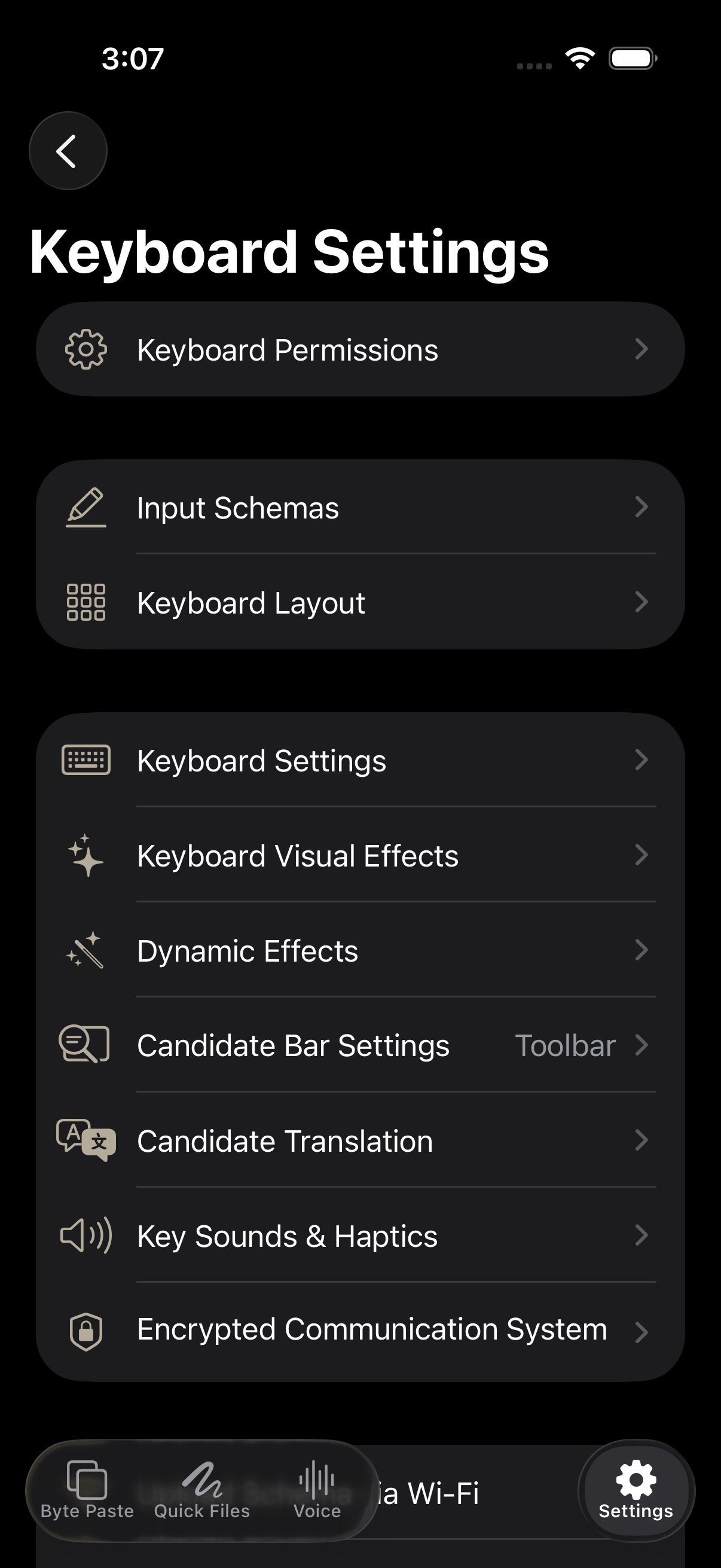 NanoMouse input settings in English
