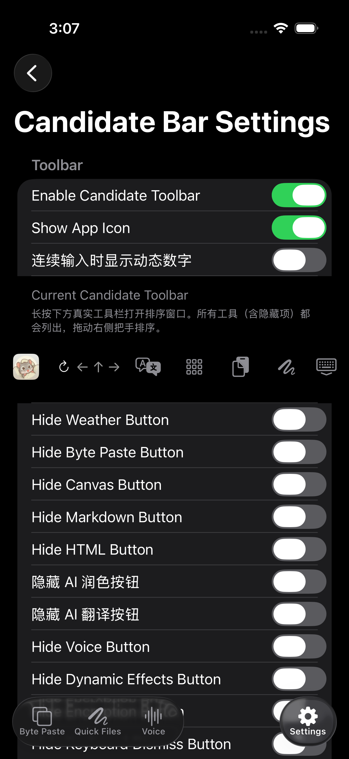 Detailed NanoMouse toolbar settings in English