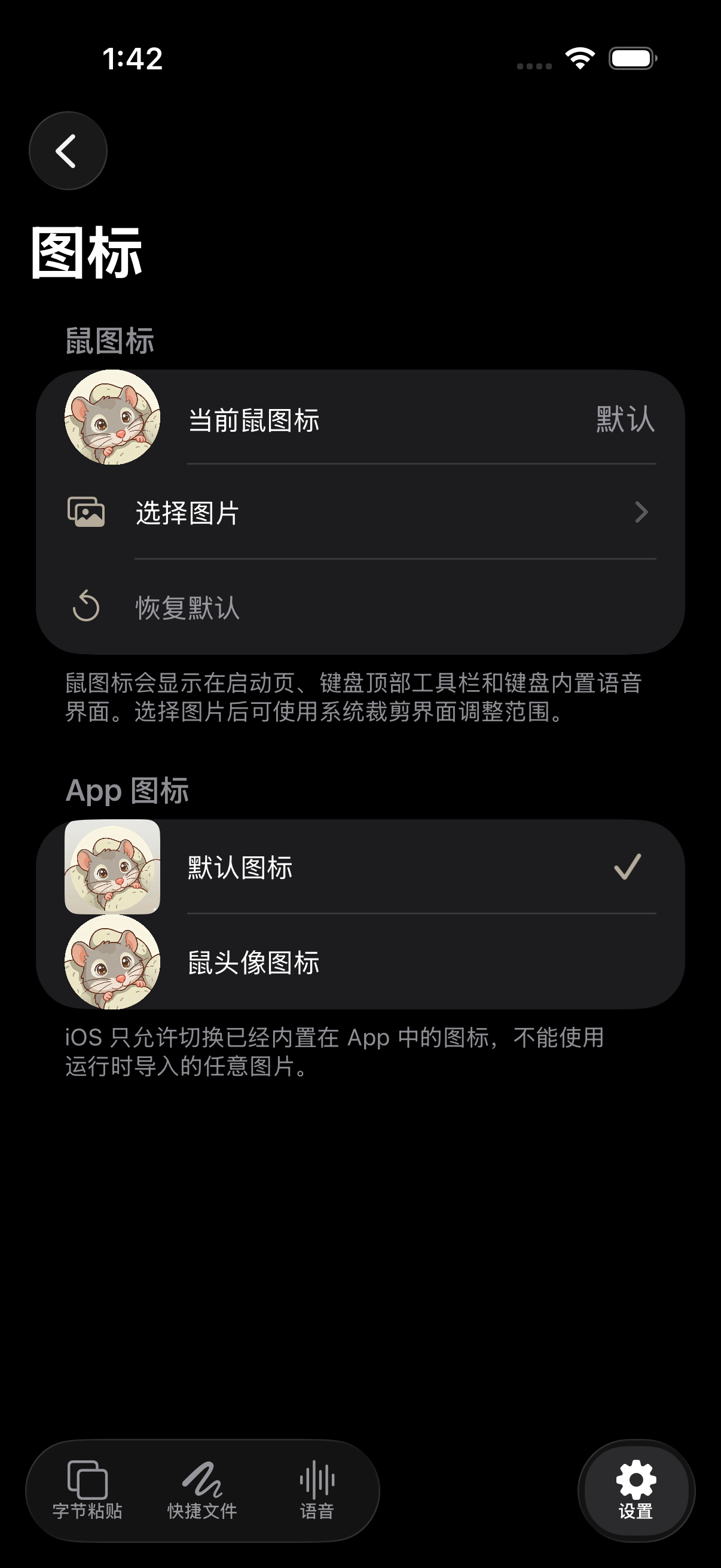 NanoMouse 真实应用图标和工具栏图标设置页
